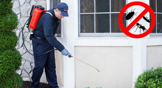 Onikişubat Tahtakurusu İlaçlama böcek ilaçlama ve haşere kontrolü — ilaclama-tr.com